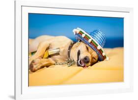 Drunk Mexican Dog-Javier Brosch-Framed Photographic Print