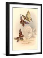 Drunken Butterflies-null-Framed Art Print