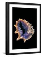 Drupa Morum-Paul Starosta-Framed Premium Photographic Print