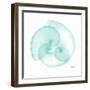 Dry Argonaut Seafoam-Albert Koetsier-Framed Photographic Print