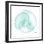 Dry Argonaut Seafoam-Albert Koetsier-Framed Photographic Print