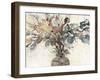 Dry Arrangement I-Samuel Dixon-Framed Art Print