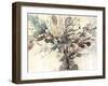 Dry Arrangement II-Samuel Dixon-Framed Art Print