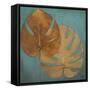 Dry Balazo in Blue II-Patricia Pinto-Framed Stretched Canvas