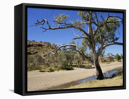 Dry Bed of Todd River, Alice Springs, Northern Territory, Australia, Pacific-Ken Gillham-Framed Stretched Canvas