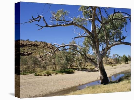 Dry Bed of Todd River, Alice Springs, Northern Territory, Australia, Pacific-Ken Gillham-Stretched Canvas