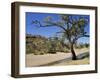 Dry Bed of Todd River, Alice Springs, Northern Territory, Australia, Pacific-Ken Gillham-Framed Photographic Print