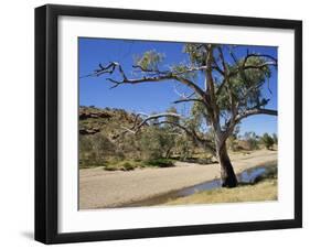Dry Bed of Todd River, Alice Springs, Northern Territory, Australia, Pacific-Ken Gillham-Framed Photographic Print