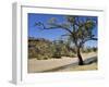 Dry Bed of Todd River, Alice Springs, Northern Territory, Australia, Pacific-Ken Gillham-Framed Photographic Print