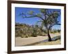 Dry Bed of Todd River, Alice Springs, Northern Territory, Australia, Pacific-Ken Gillham-Framed Photographic Print