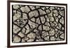 Dry, Cracked, Parched Earth in South Luangwa Valley National Park, Zambia-Paul Joynson Hicks-Framed Photographic Print