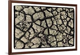 Dry, Cracked, Parched Earth in South Luangwa Valley National Park, Zambia-Paul Joynson Hicks-Framed Photographic Print