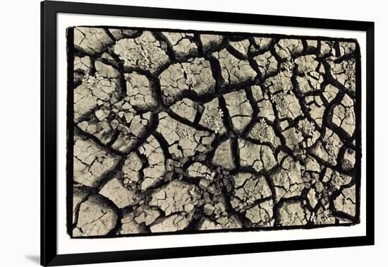 Dry, Cracked, Parched Earth in South Luangwa Valley National Park, Zambia-Paul Joynson Hicks-Framed Photographic Print