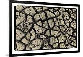 Dry, Cracked, Parched Earth in South Luangwa Valley National Park, Zambia-Paul Joynson Hicks-Framed Photographic Print