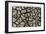 Dry, Cracked, Parched Earth in South Luangwa Valley National Park, Zambia-Paul Joynson Hicks-Framed Photographic Print