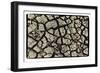 Dry, Cracked, Parched Earth in South Luangwa Valley National Park, Zambia-Paul Joynson Hicks-Framed Photographic Print