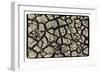 Dry, Cracked, Parched Earth in South Luangwa Valley National Park, Zambia-Paul Joynson Hicks-Framed Photographic Print