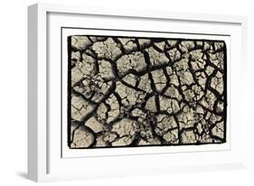 Dry, Cracked, Parched Earth in South Luangwa Valley National Park, Zambia-Paul Joynson Hicks-Framed Photographic Print
