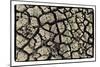 Dry, Cracked, Parched Earth in South Luangwa Valley National Park, Zambia-Paul Joynson Hicks-Mounted Photographic Print