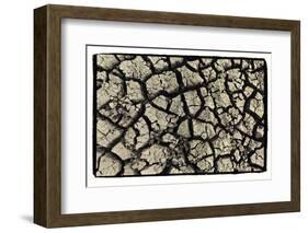 Dry, Cracked, Parched Earth in South Luangwa Valley National Park, Zambia-Paul Joynson Hicks-Framed Photographic Print