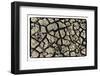 Dry, Cracked, Parched Earth in South Luangwa Valley National Park, Zambia-Paul Joynson Hicks-Framed Photographic Print