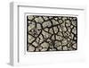 Dry, Cracked, Parched Earth in South Luangwa Valley National Park, Zambia-Paul Joynson Hicks-Framed Photographic Print