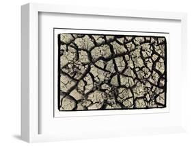 Dry, Cracked, Parched Earth in South Luangwa Valley National Park, Zambia-Paul Joynson Hicks-Framed Photographic Print