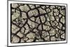 Dry, Cracked, Parched Earth in South Luangwa Valley National Park, Zambia-Paul Joynson Hicks-Mounted Photographic Print