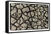 Dry, Cracked, Parched Earth in South Luangwa Valley National Park, Zambia-Paul Joynson Hicks-Framed Stretched Canvas