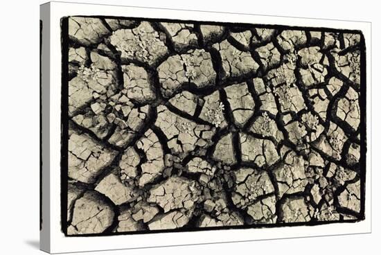 Dry, Cracked, Parched Earth in South Luangwa Valley National Park, Zambia-Paul Joynson Hicks-Stretched Canvas