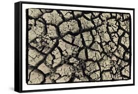 Dry, Cracked, Parched Earth in South Luangwa Valley National Park, Zambia-Paul Joynson Hicks-Framed Stretched Canvas