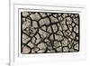 Dry, Cracked, Parched Earth in South Luangwa Valley National Park, Zambia-Paul Joynson Hicks-Framed Photographic Print