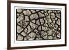 Dry, Cracked, Parched Earth in South Luangwa Valley National Park, Zambia-Paul Joynson Hicks-Framed Photographic Print