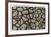 Dry, Cracked, Parched Earth in South Luangwa Valley National Park, Zambia-Paul Joynson Hicks-Framed Photographic Print