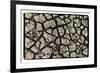 Dry, Cracked, Parched Earth in South Luangwa Valley National Park, Zambia-Paul Joynson Hicks-Framed Photographic Print