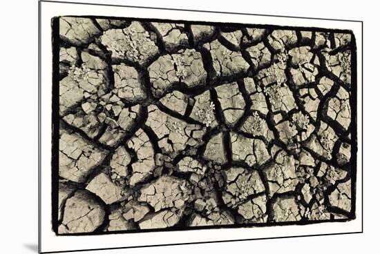 Dry, Cracked, Parched Earth in South Luangwa Valley National Park, Zambia-Paul Joynson Hicks-Mounted Photographic Print
