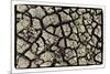 Dry, Cracked, Parched Earth in South Luangwa Valley National Park, Zambia-Paul Joynson Hicks-Mounted Photographic Print