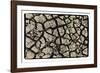 Dry, Cracked, Parched Earth in South Luangwa Valley National Park, Zambia-Paul Joynson Hicks-Framed Photographic Print