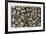 Dry, Cracked, Parched Earth in South Luangwa Valley National Park, Zambia-Paul Joynson Hicks-Framed Photographic Print