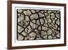 Dry, Cracked, Parched Earth in South Luangwa Valley National Park, Zambia-Paul Joynson Hicks-Framed Photographic Print