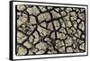 Dry, Cracked, Parched Earth in South Luangwa Valley National Park, Zambia-Paul Joynson Hicks-Framed Stretched Canvas