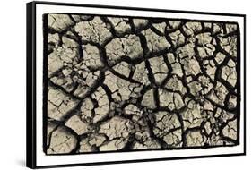 Dry, Cracked, Parched Earth in South Luangwa Valley National Park, Zambia-Paul Joynson Hicks-Framed Stretched Canvas