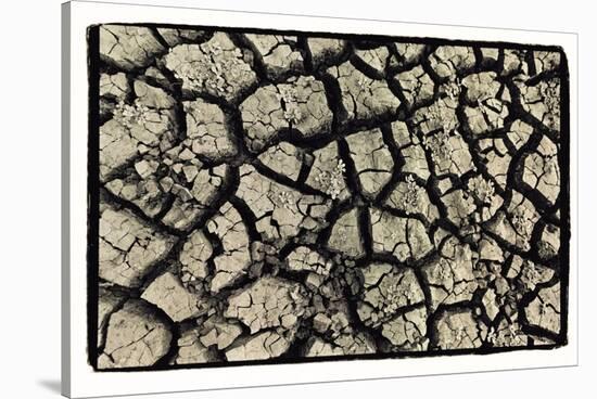 Dry, Cracked, Parched Earth in South Luangwa Valley National Park, Zambia-Paul Joynson Hicks-Stretched Canvas