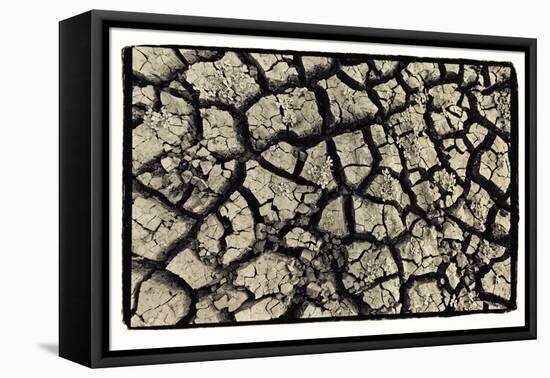 Dry, Cracked, Parched Earth in South Luangwa Valley National Park, Zambia-Paul Joynson Hicks-Framed Stretched Canvas