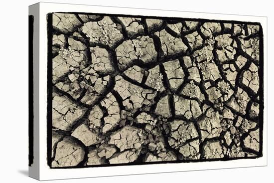 Dry, Cracked, Parched Earth in South Luangwa Valley National Park, Zambia-Paul Joynson Hicks-Stretched Canvas