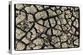 Dry, Cracked, Parched Earth in South Luangwa Valley National Park, Zambia-Paul Joynson Hicks-Stretched Canvas