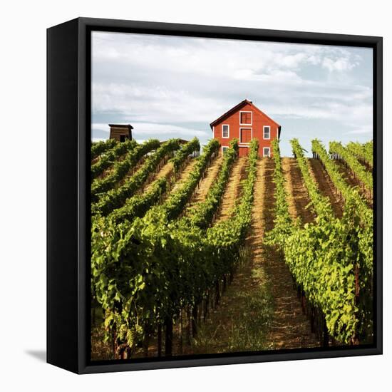 Dry Creek Barn-Lance Kuehne-Framed Stretched Canvas