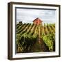 Dry Creek Barn-Lance Kuehne-Framed Photographic Print