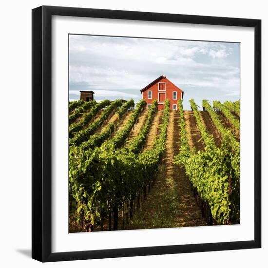 Dry Creek Barn-Lance Kuehne-Framed Photographic Print