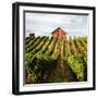 Dry Creek Barn-Lance Kuehne-Framed Photographic Print